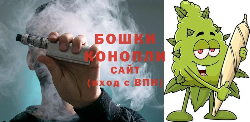 цена наркотик  Тольятти  Каннабис OG Kush 